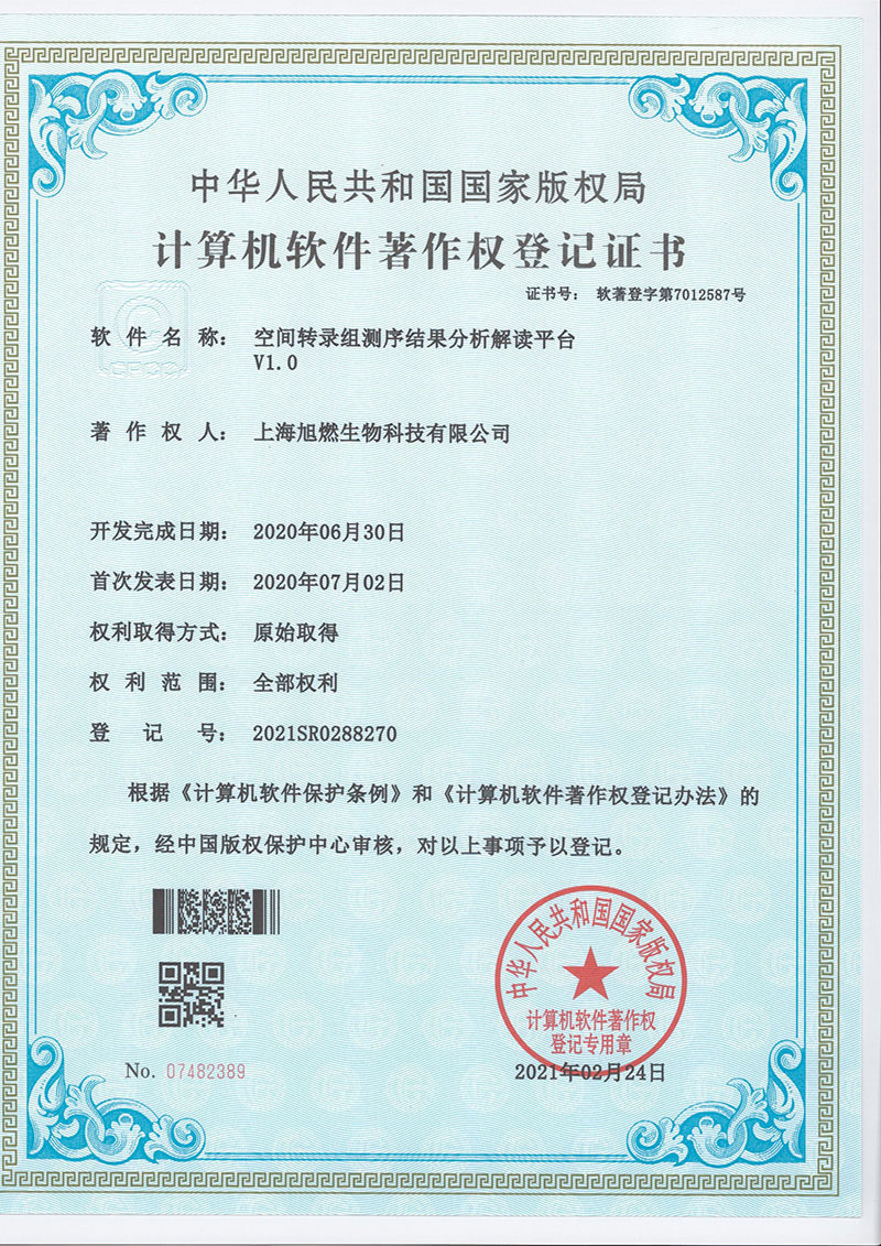 空间转录组测序结果分析解读平台