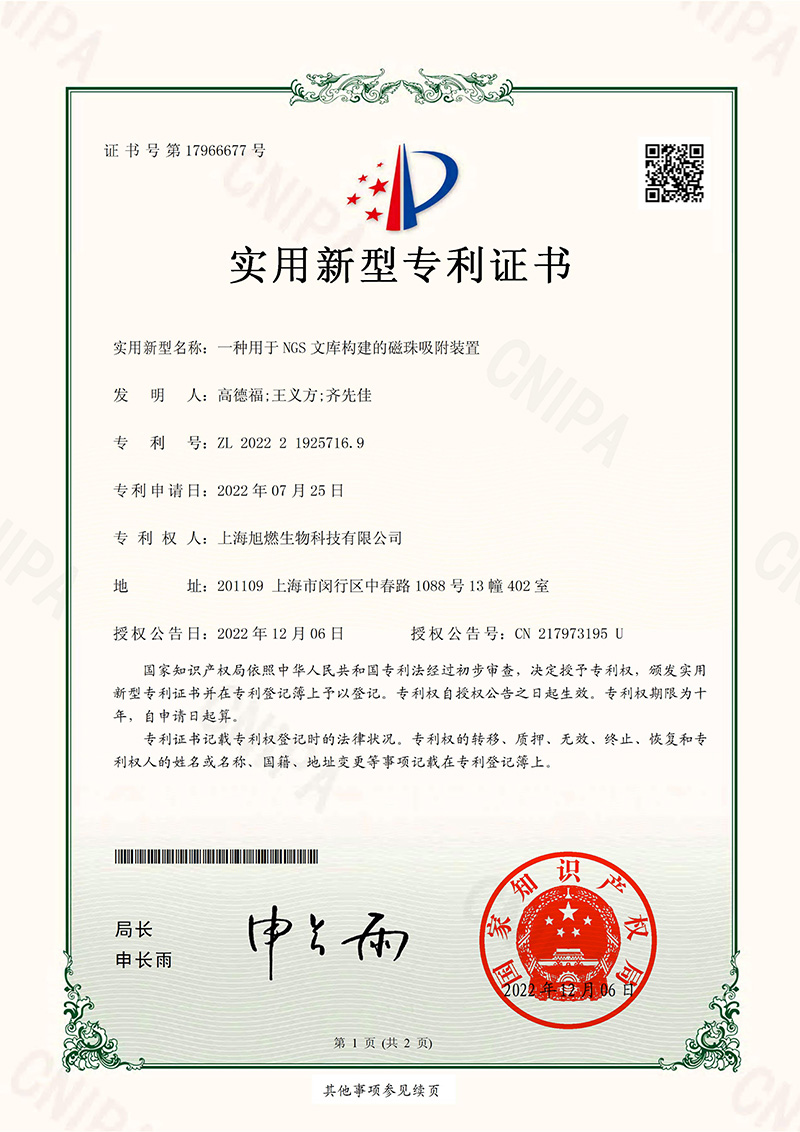 一种用于NGS文库构建的磁珠吸附装置-实用新型专利