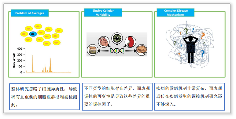 单细胞ATAC测序