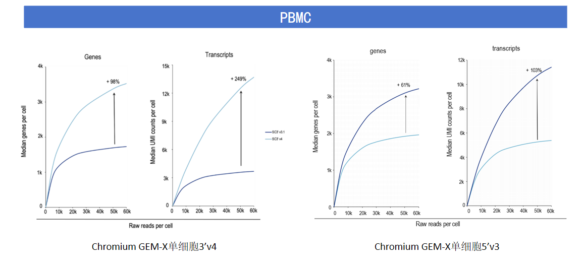 GEM-X单细胞测序方案