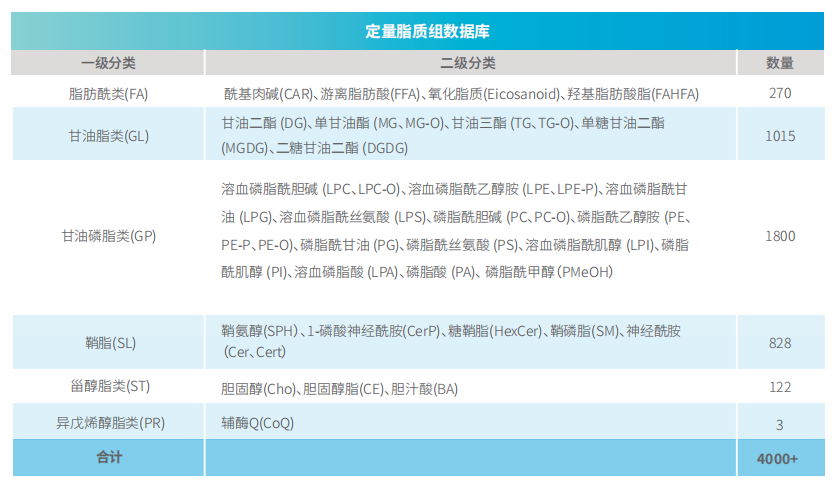 定量脂质组