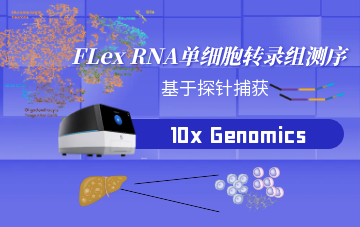FLex RNA单细胞转录组测序