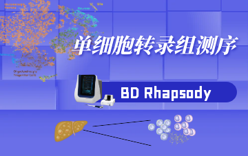 单细胞转录组测序