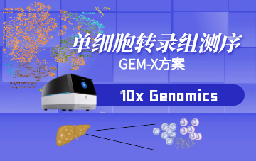 GEM-X单细胞测序方案
