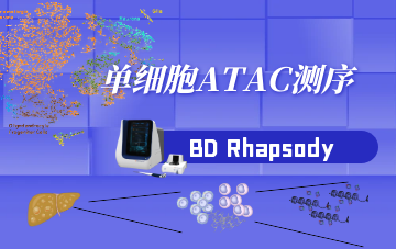 单细胞ATAC测序