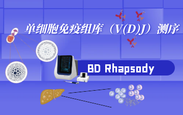 单细胞免疫组库（V(D)J）测序
