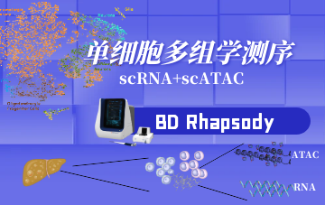 单细胞多组学