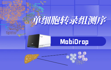 单细胞转录组测序