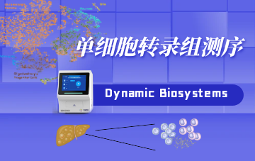 单细胞转录组测序
