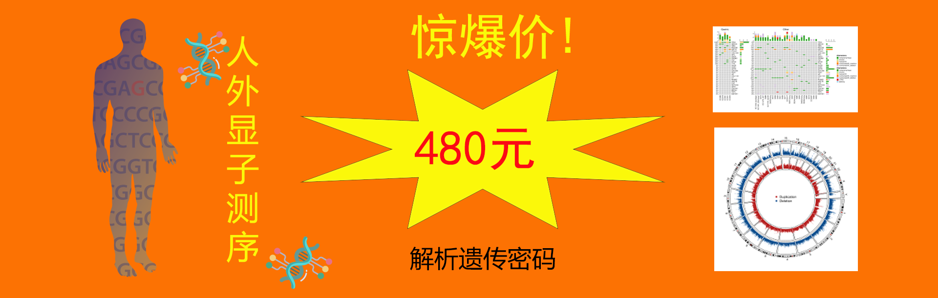 点击这里