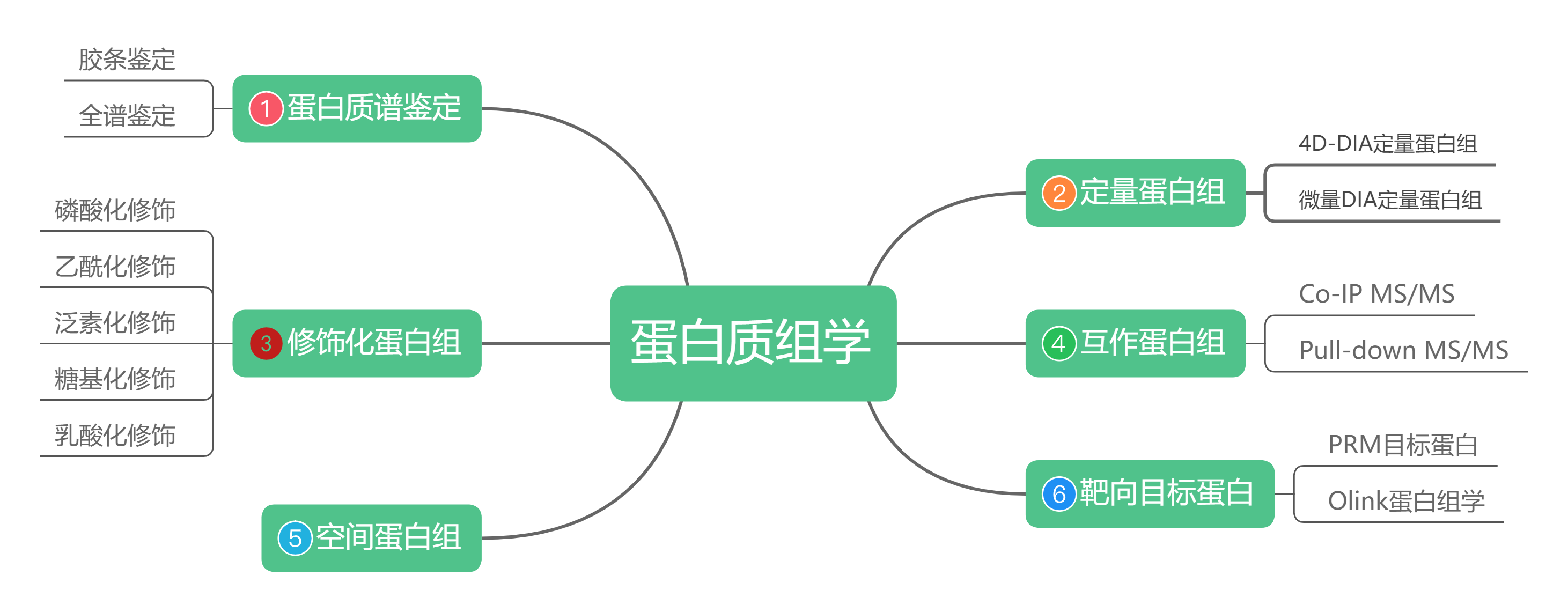 研究思路 | 一文看懂蛋白质组学研究怎么做？