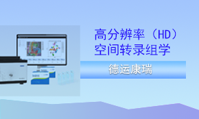 DynaSpatial HD（高分辨率）空间转录组测序