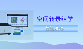 DynaSpatial空间转录组