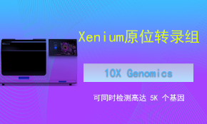 Xenium 单细胞空间转录组