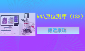 RNA原位测序（ISS）
