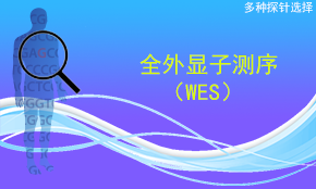 全外显子测序