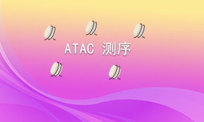 Bulk ATAC测序