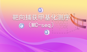 靶向捕获甲基化测序（MC-seq）