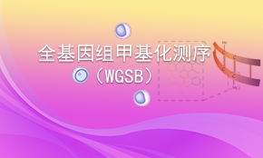 全基因组甲基化测序（WGBS）