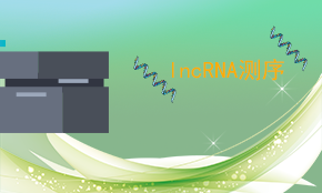 LncRNA测序