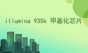 Illumina 935k甲基化芯片检测
