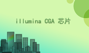 Illumina CGA SNP基因芯片检测