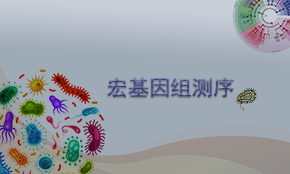 宏基因组测序