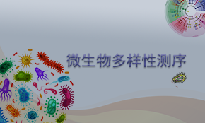 微生物多样性测序