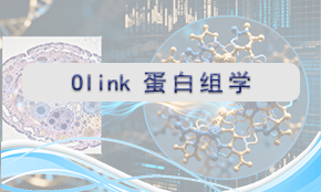 Olink蛋白组学