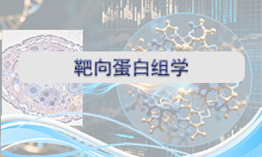 靶向蛋白组学