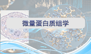 微量蛋白质组学
