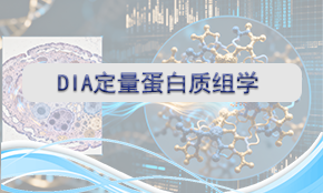 DIA定量蛋白组学（TOF/Astral）