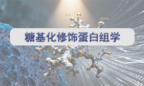 糖基化（N/O）修饰蛋白组学