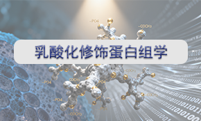 乳酸化修饰蛋白组学
