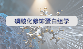 磷酸化修饰蛋白组学