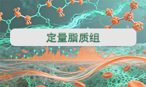 定量脂质组