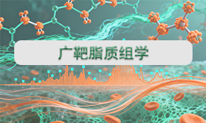 广靶脂质组学