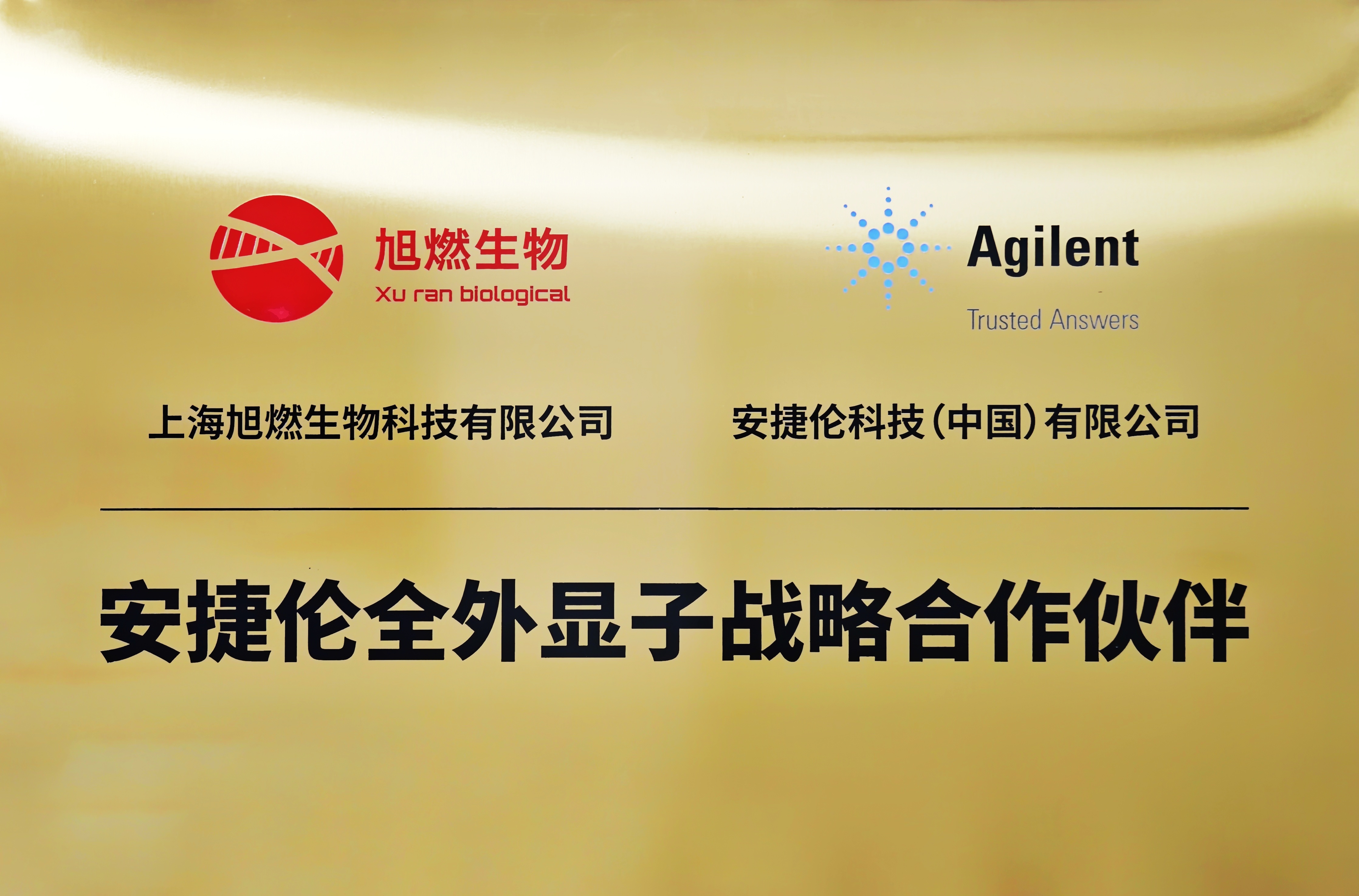 战略合作 | 推进全外显子测序技术在遗传病与肿瘤筛查领域的应用